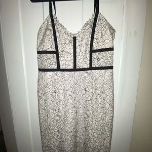 White Lace Express Dress